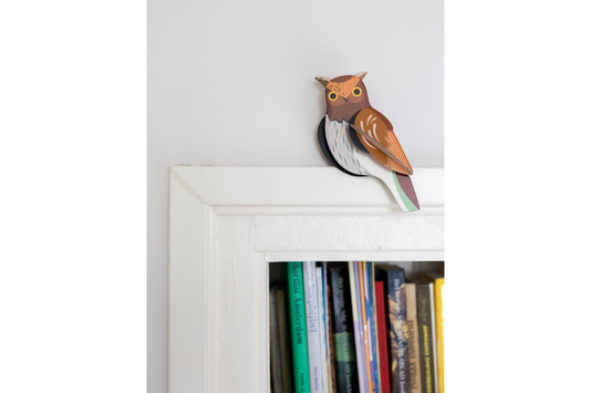 Studio Roof Wall Art - Tawny Owl