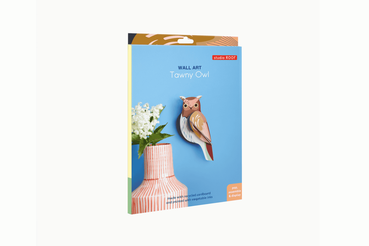 Studio Roof Wall Art - Tawny Owl