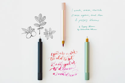 Tom's Studio Lumos Mini - Ivy | Flywheel | Stationery | Tasmania