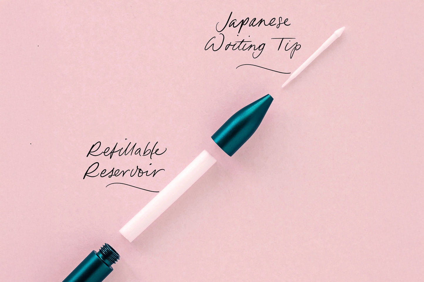 Tom's Studio The Wren - Midnight