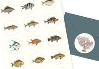 Pepin Press Label & Sticker Book - Marine | Flywheel | Stationery | Tasmania