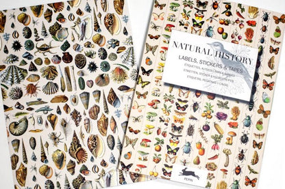 Pepin Press Label & Sticker Book - Natural History | Flywheel | Stationery | Tasmania