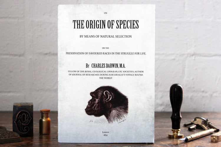 Slow Design Libri Muti Notebook - The Origin of Species | Flywheel | Stationery | Tasmania