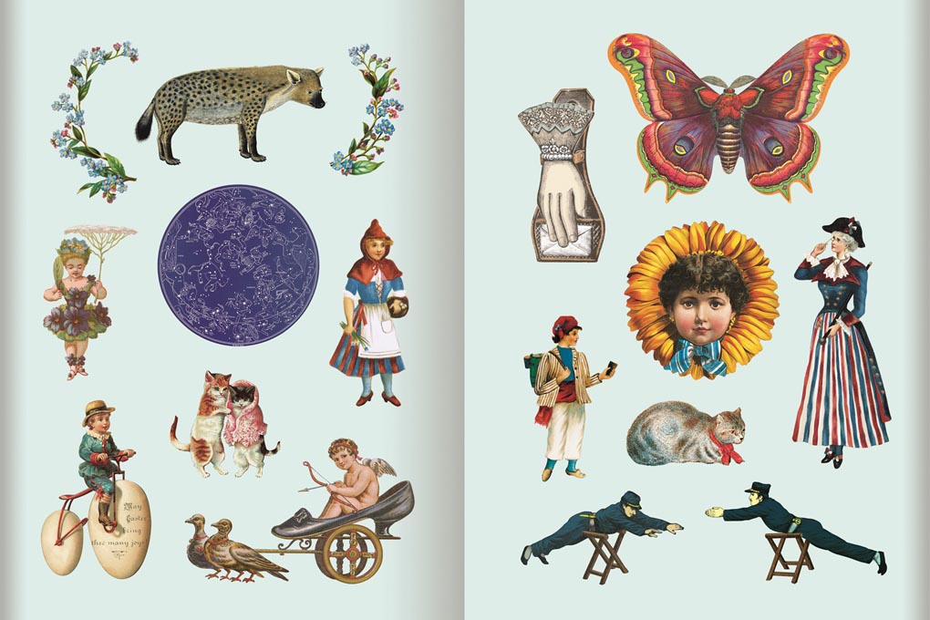The Antiquarian Sticker Book: Bibliophilia | Flywheel | Stationery | Tasmania