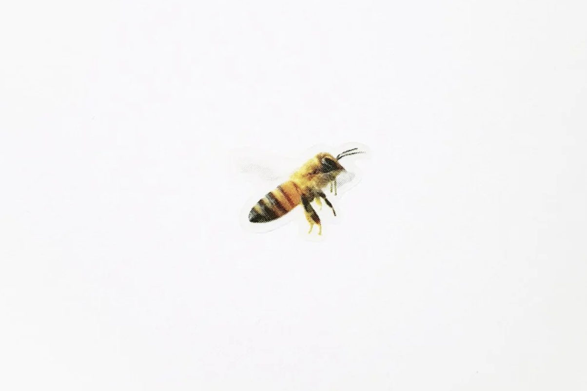 Appree Nature Stickers - Bees | Flywheel | Stationery | Tasmania