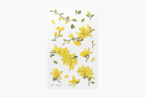 Appree Pressed Flower Stickers - Forsythia