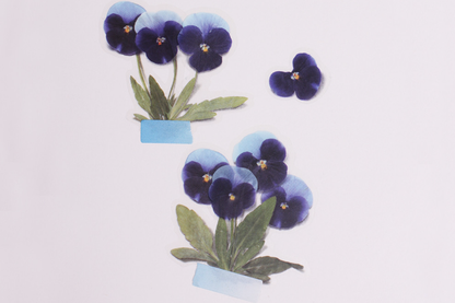 Appree Pressed Flower Stickers - Pansy | Flywheel | Stationery | Tasmania