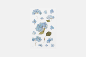 Appree Pressed Flower Stickers - Big Leaf Hydrangea | Flywheel | Stationery | Tasmania