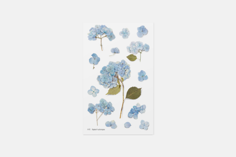 Appree Pressed Flower Stickers - Big Leaf Hydrangea