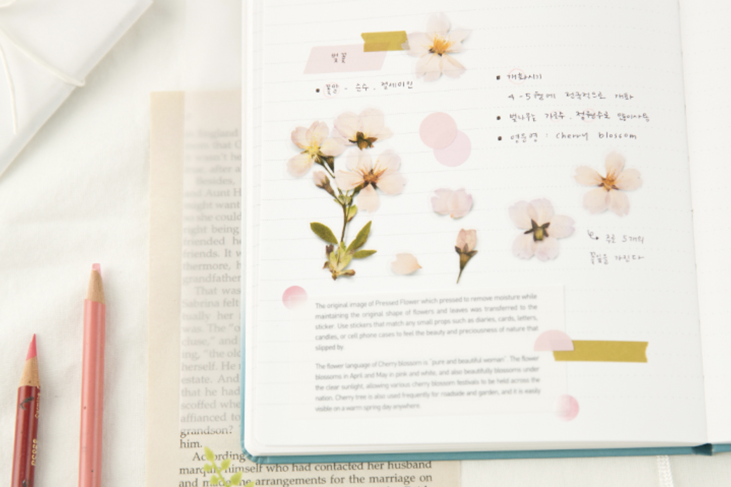 Appree Pressed Flower Stickers - Cherry Blossom | Flywheel | Stationery | Tasmania