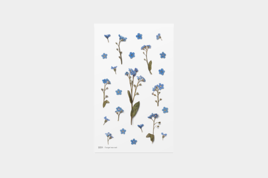 Appree Pressed Flower Stickers - Forget Me Not | Flywheel | Stationery | Tasmania