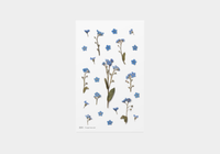 Appree Pressed Flower Stickers - Forget Me Not