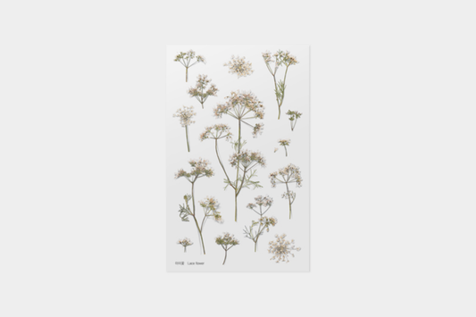 Appree Pressed Flower Stickers - Lace Flower | Flywheel | Stationery | Tasmania
