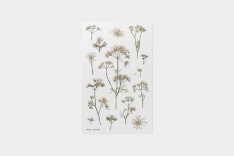 Appree Pressed Flower Stickers - Lace Flower