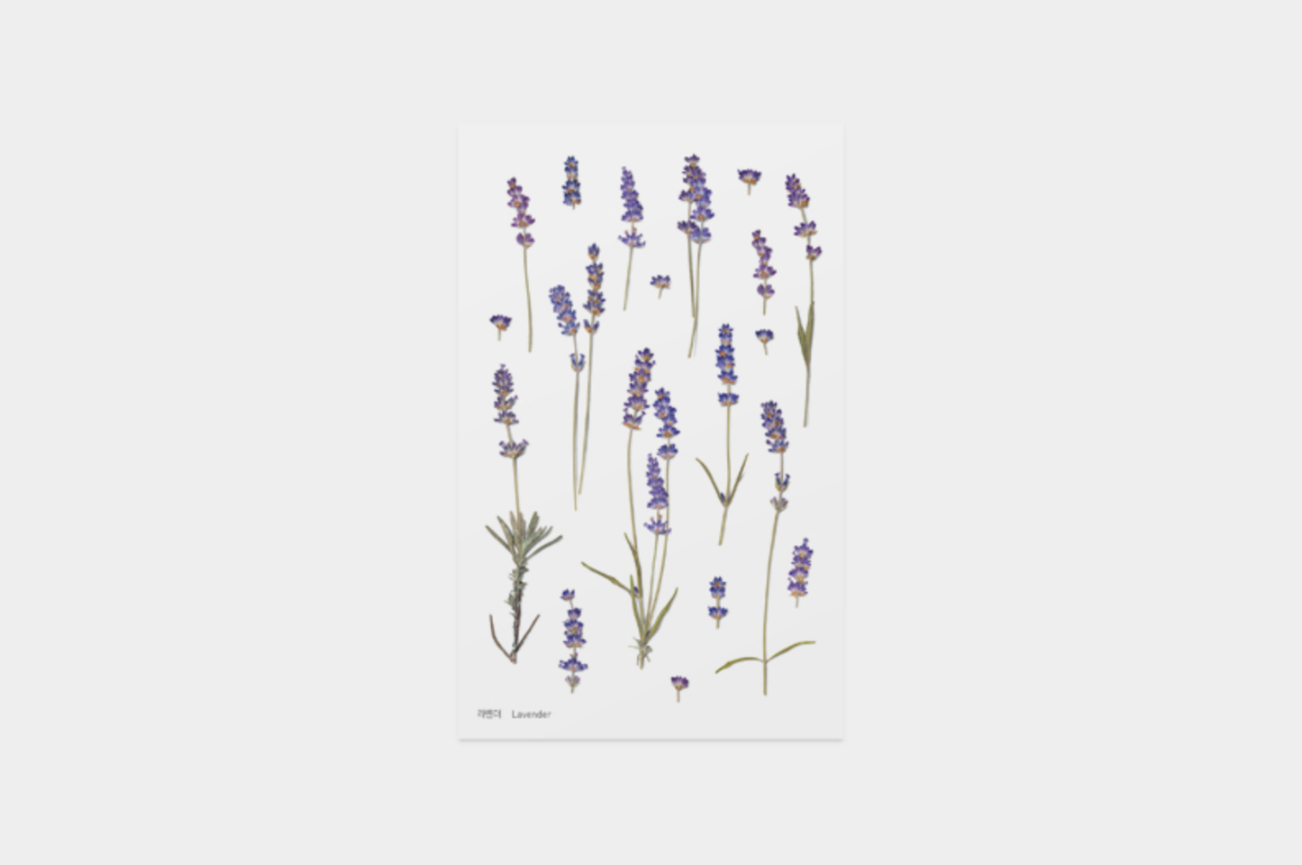 Appree Pressed Flower Stickers - Lavender | Flywheel | Stationery | Tasmania