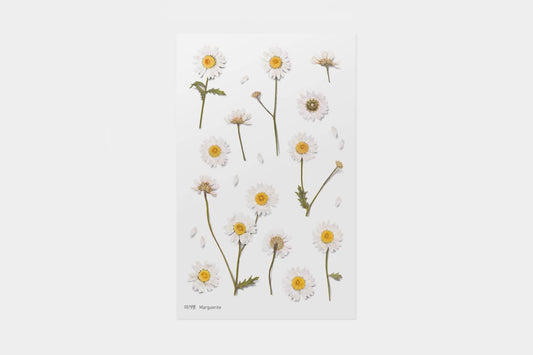 Appree Pressed Flower Stickers - Marguerite | Flywheel | Stationery | Tasmania