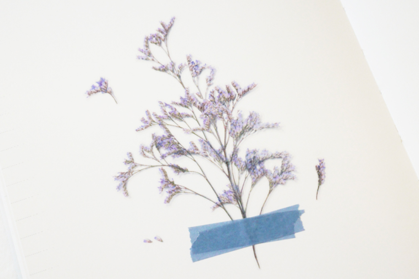 Appree Pressed Flower Stickers - Misty Blue | Flywheel | Stationery | Tasmania