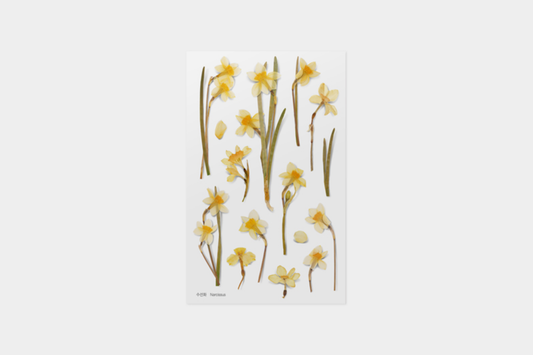 Appree Pressed Flower Stickers - Narcissus | Flywheel | Stationery | Tasmania