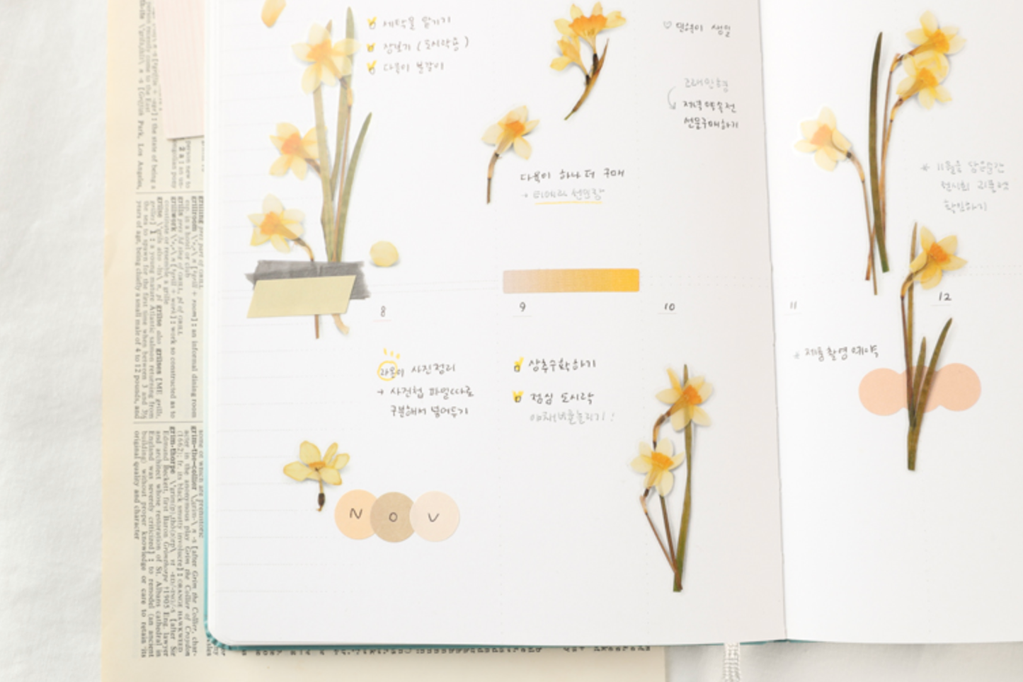 Appree Pressed Flower Stickers - Narcissus | Flywheel | Stationery | Tasmania