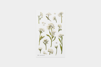 Appree Pressed Flower Stickers - Sweet Alyssum | Flywheel | Stationery | Tasmania