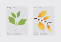 Appree Sticky Leaf Memo Notes - Birch