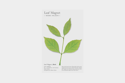 Appree Leaf Magnets - Birch | Flywheel | Stationery | Tasmania