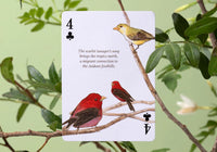 Playing Cards - Eastern Forest | Flywheel | Stationery | Tasmania