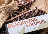 Blackwing Pencils - Volume 200 | Flywheel | Stationery | Tasmania