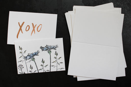 10 X Blank Notecards | Flywheel | Stationery | Tasmania