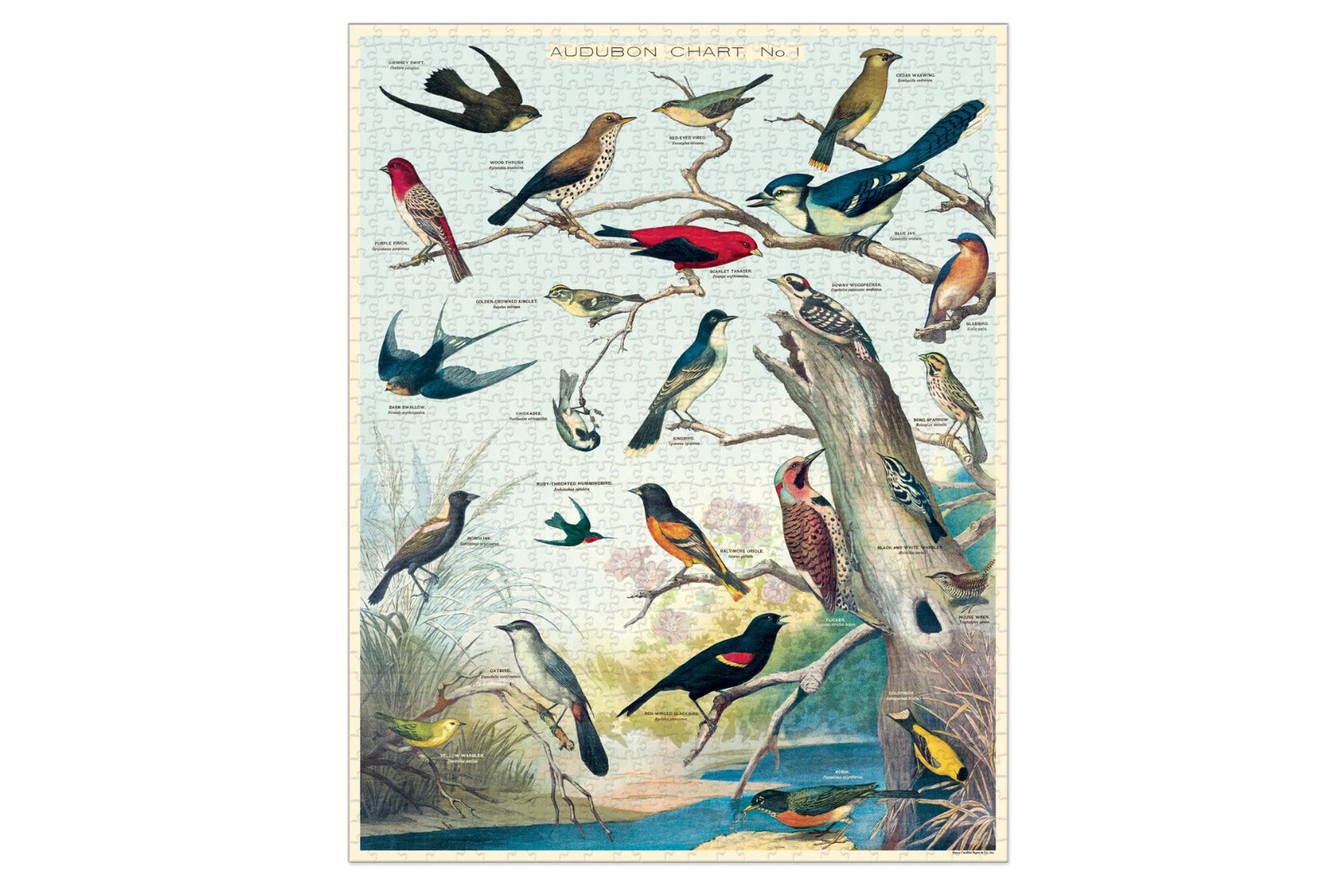Cavallini 1000 Piece Puzzle - Audubon Birds | Flywheel | Stationery | Tasmania