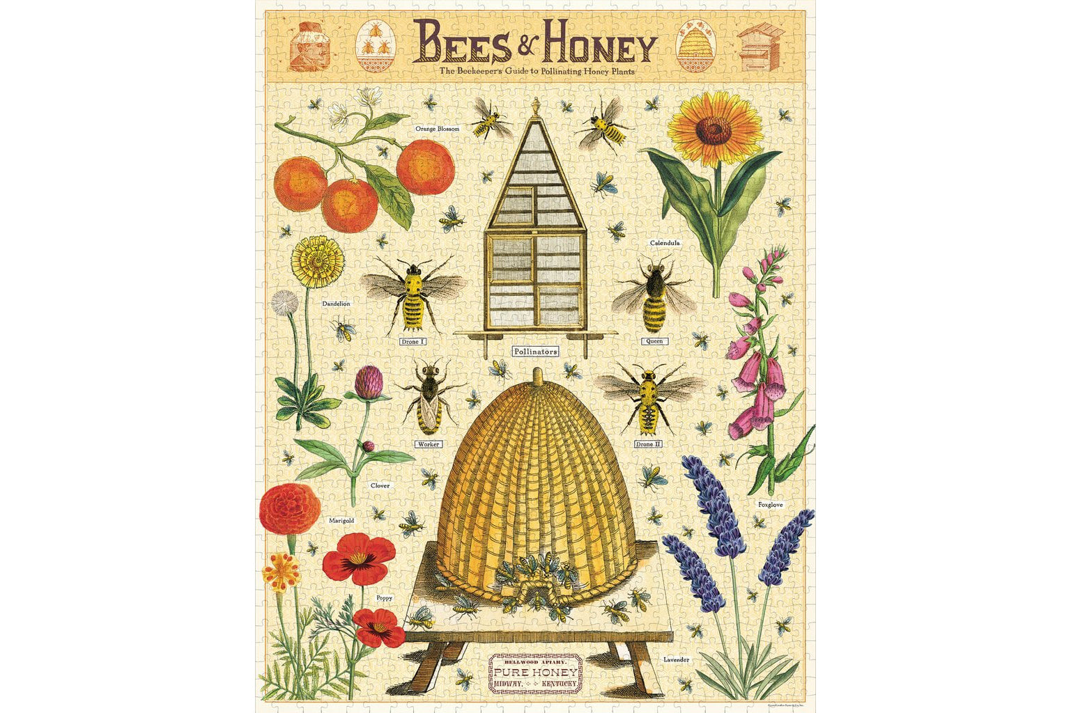 Cavallini 1000 Piece Puzzle - Bees & Honey | Flywheel | Stationery | Tasmania