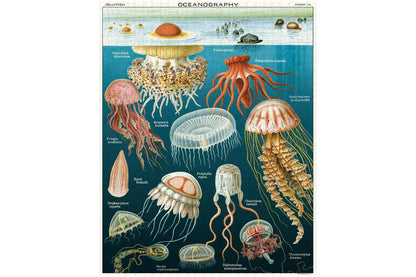 Cavallini 1000 Piece Puzzle - Jellyfish | Flywheel | Stationery | Tasmania