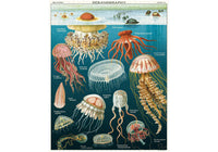 Cavallini 1000 Piece Puzzle - Jellyfish