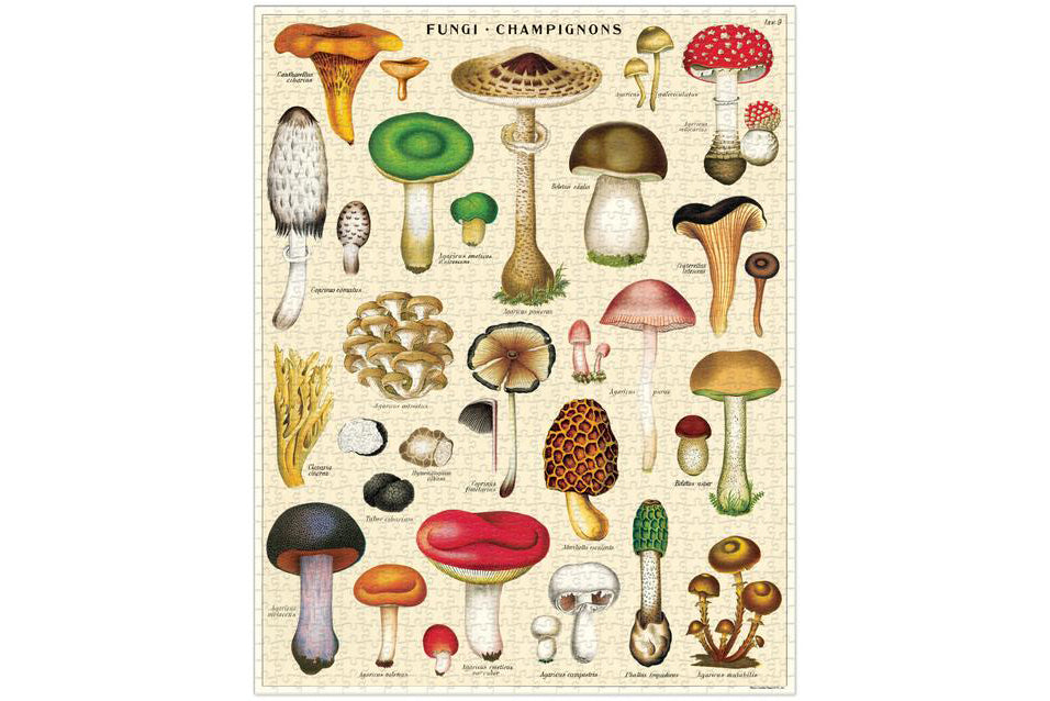 Cavallini 1000 Piece Puzzle - Mushrooms | Flywheel | Stationery | Tasmania