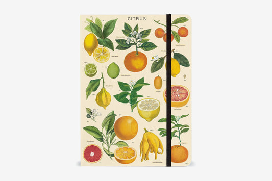 Cavallini Notebook Large - Citrus | Flywheel | Stationery | Tasmania