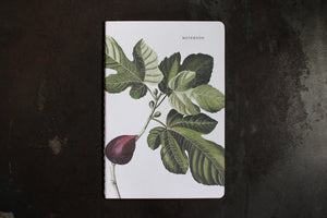Father Rabbit Notebook - Fig