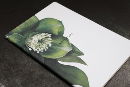 Father Rabbit Notebook - Hellebore | Flywheel | Stationery | Tasmania