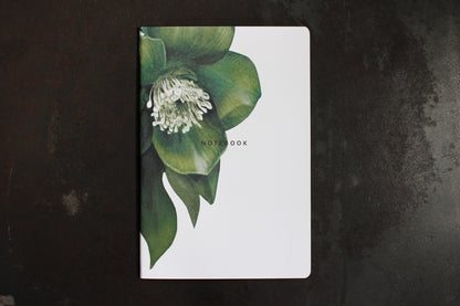 Father Rabbit Notebook - Hellebore | Flywheel | Stationery | Tasmania