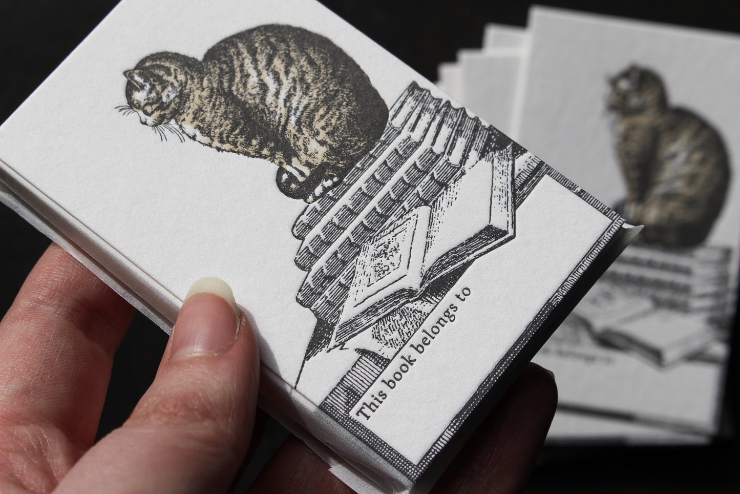 Letterpress Bookplates - Cat | Flywheel | Stationery | Tasmania