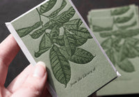 Letterpress Bookplates - Foliage | Flywheel | Stationery | Tasmania