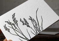 Letterpress Notecard - Flora 2 | Flywheel | Stationery | Tasmania