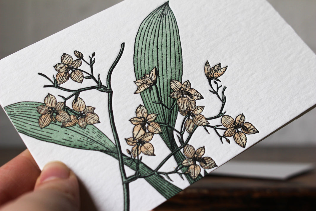 Letterpress Goods Flywheel