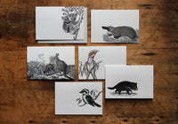 Letterpress Notecard Box Set - Australian Fauna