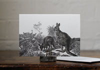 Letterpress Notecard - Kangaroos