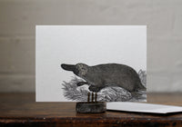 Letterpress Notecard - Platypus