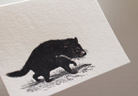 Letterpress Notecard - Tasmanian Devil | Flywheel | Stationery | Tasmania