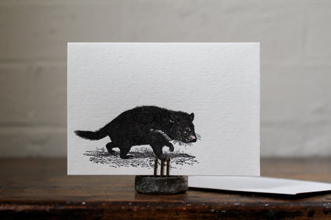 Letterpress Notecard - Tasmanian Devil