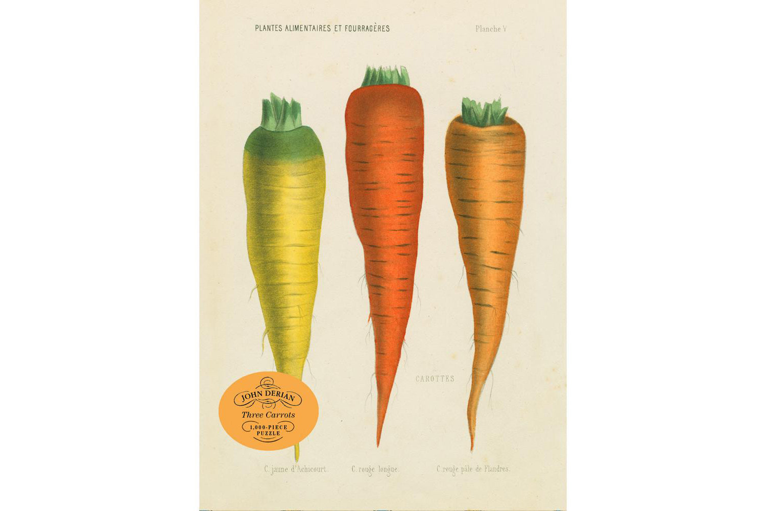 John Derian 1000 Piece Puzzle - Three Carrots | Flywheel | Stationery | Tasmania