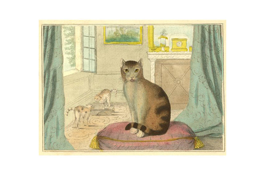 John Derian 750 Piece Puzzle - Calm Cat | Flywheel | Stationery | Tasmania