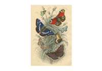 John Derian 750 Piece Puzzle - Dancing Butterflies